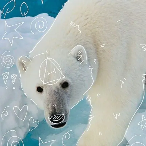 creator POLArrrrrr's avatar