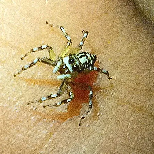 creator ㅤ  osama's avatar