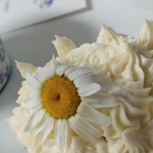 creator adhd.com's avatar