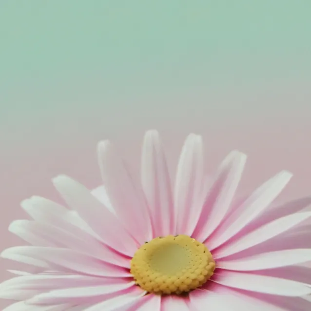 chat with ai character: FNAF families <3