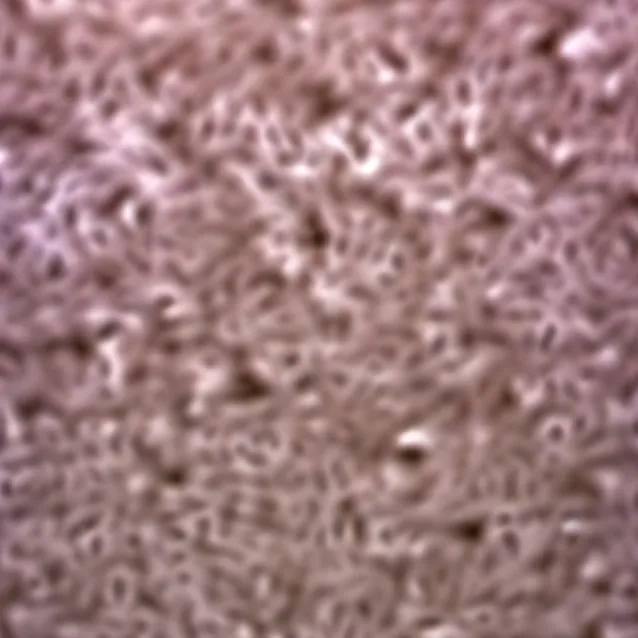 chat with ai character: deltarune