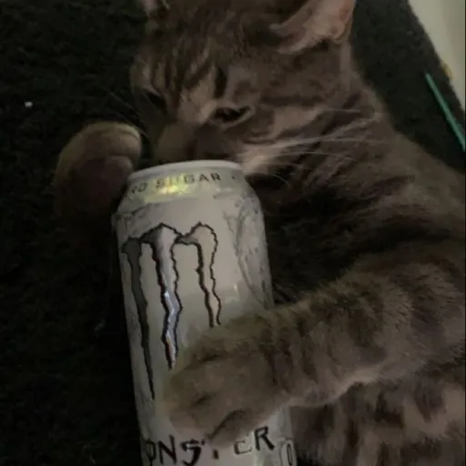 creator KidsAreCrybabies's avatar