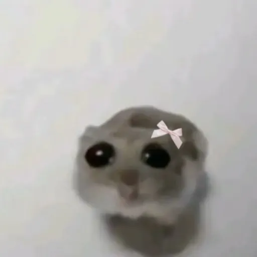 creator D4rk_fall's avatar