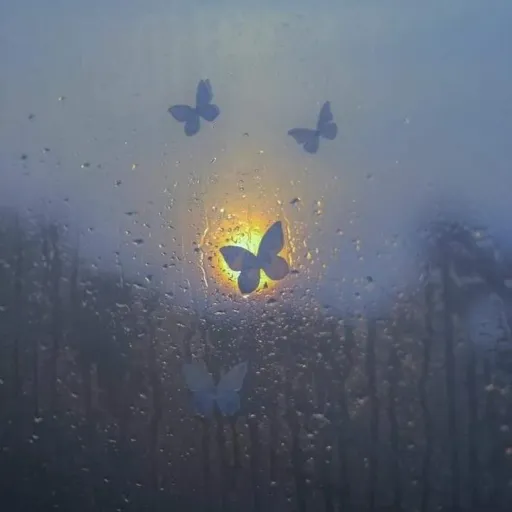 creator yannah cutie's avatar