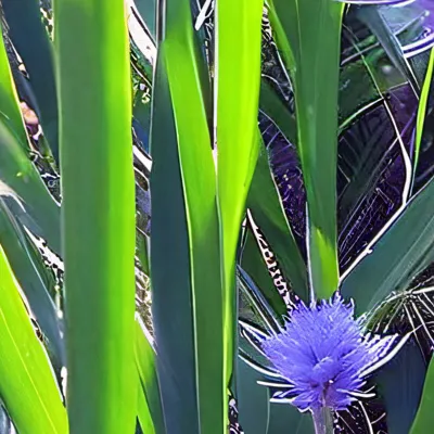 chat with ai character: ideas?😔