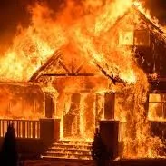 creator Mr broccoli's avatar