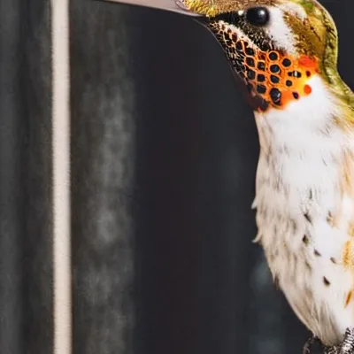 chat with ai character: Zoe Quinnie