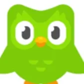 chat with ai character: Duolingo