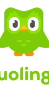 ai character: Duolingo background