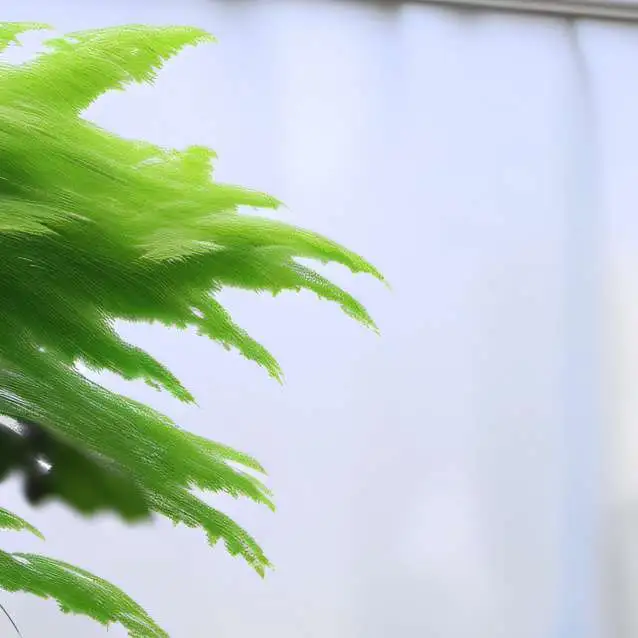 chat with ai character: void