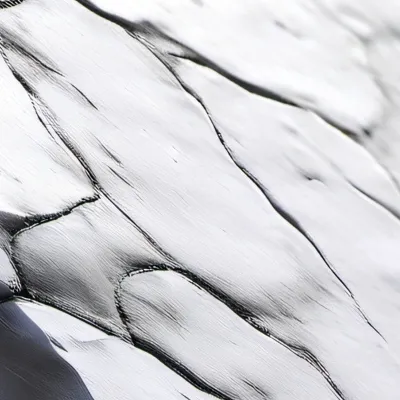 chat with ai character: Just a rock