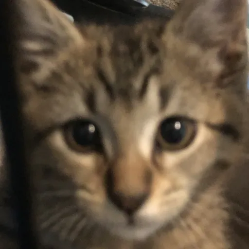 creator Postpotato's avatar