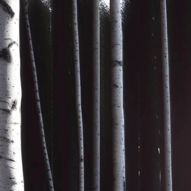 chat with ai character: HH camping