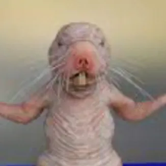 creator ~my pookie~'s avatar