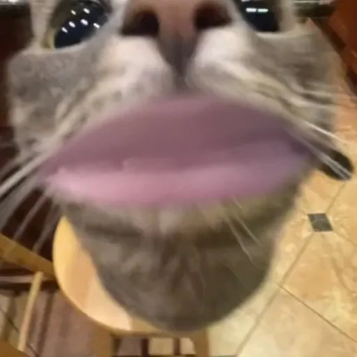 creator Andrea 22457's avatar