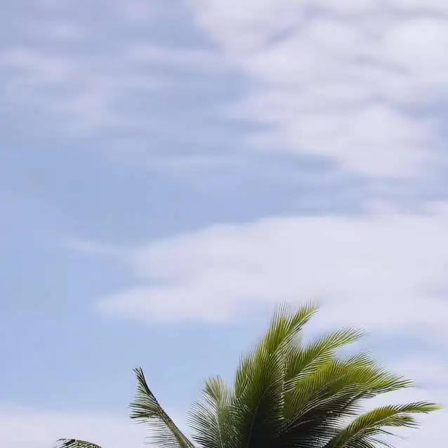 chat with ai character: tree