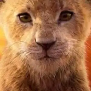 chat with ai character: Mufasa 