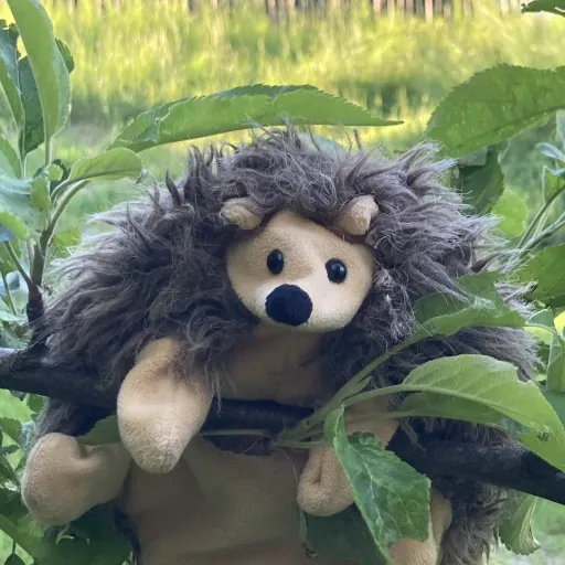 talkie's author avatar