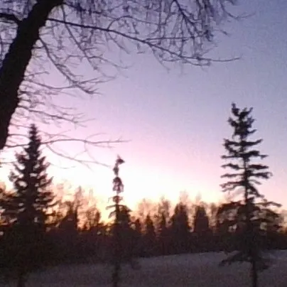 chat with ai character: Fandom in room 24h