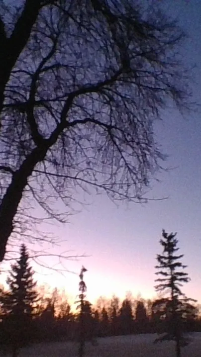 ai character: Fandom in room 24h background