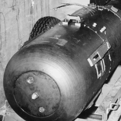 creator Amotic nuker's avatar