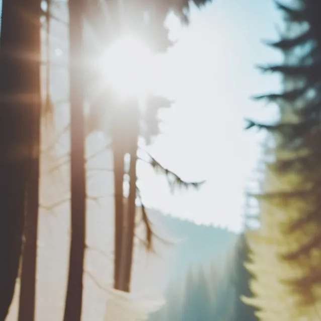 chat with ai character: magical forest