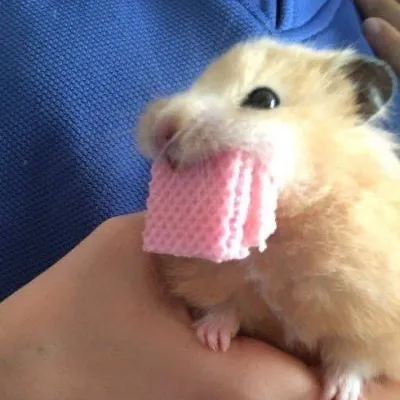 creator Lillian (lily)👅's avatar