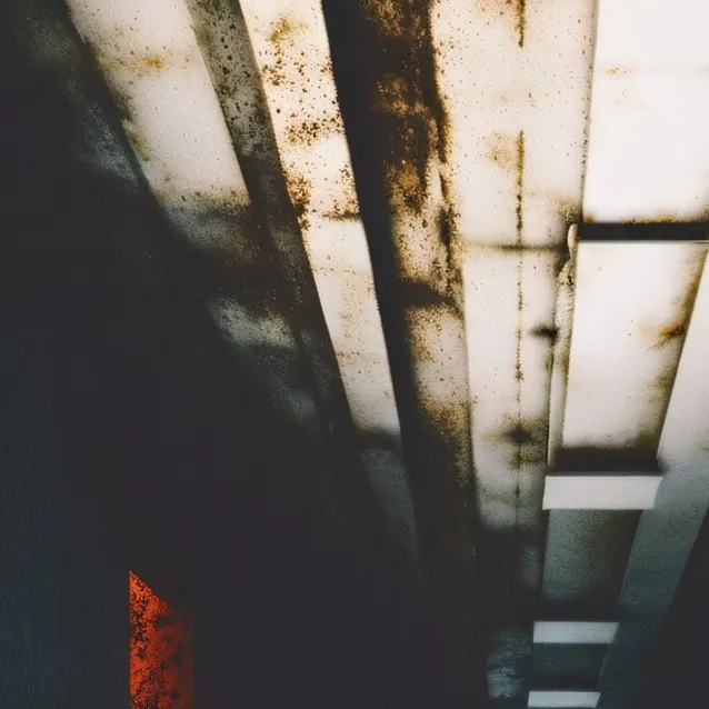 chat with ai character: HOUR OF JOY 8/8/95