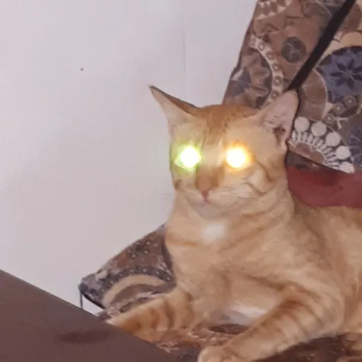 creator kylethekitty's avatar