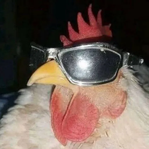 creator Infort's avatar