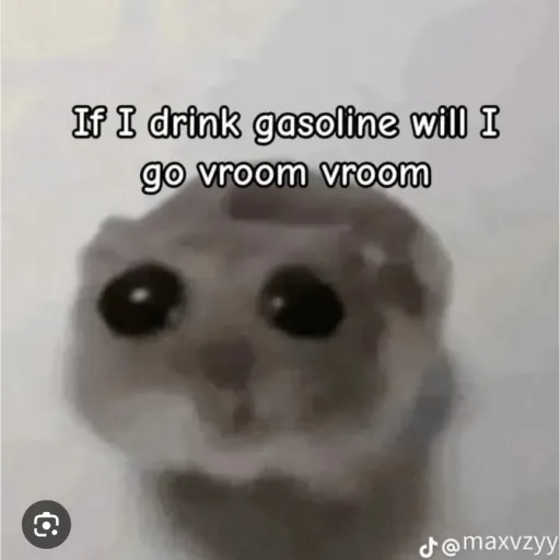 creator Violet_<3🏈's avatar