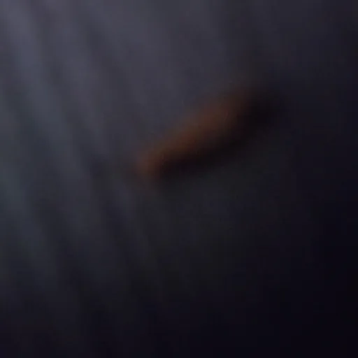 creator village deku's avatar