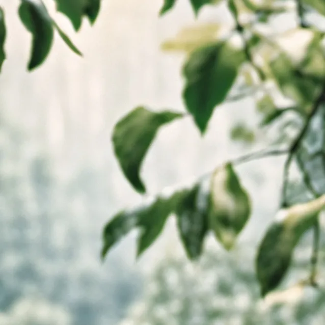 chat with ai character: Radioapple:) 2