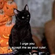 creator Proud Author's avatar