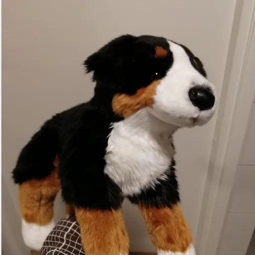 creator st@r_sp8ce's avatar