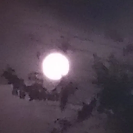 creator dragão do sumiço 🐉's avatar