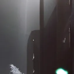 chat with ai character: black