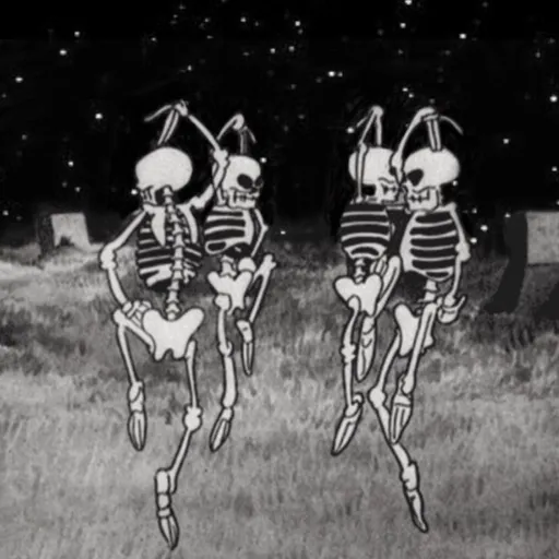 creator Talkior-YwLHHqnW's avatar