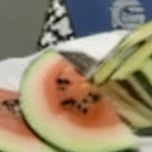 chat with ai character: Melon