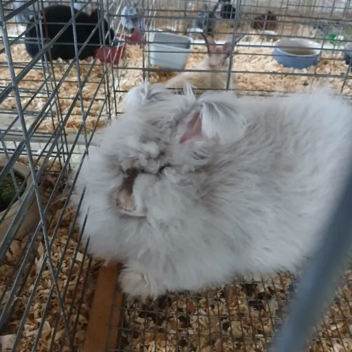 creator i♡tSAMS's avatar