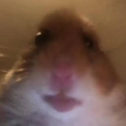 creator The_Gamer476's avatar