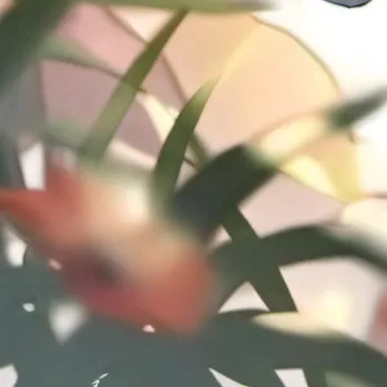 chat with ai character: Luca 🤪