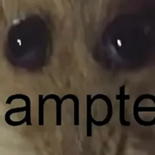 chat with ai character: Sleepover with OCs