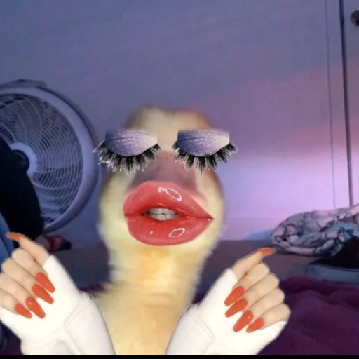 creator shiyan ✨'s avatar