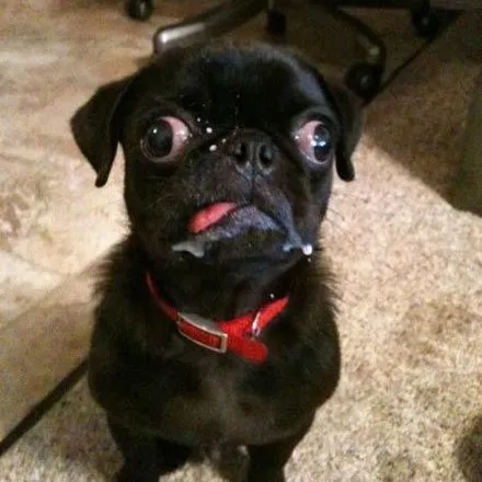 creator TreySanders's avatar