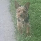 creator thatgurlbraebrae!'s avatar