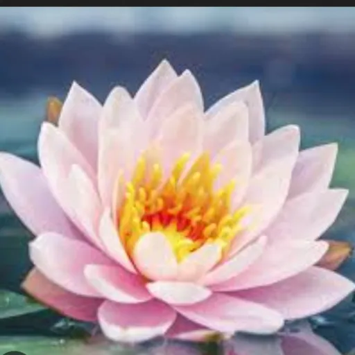 creator Yukoo_Malay6913's avatar