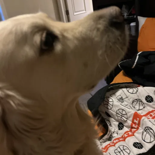 creator Da romantic boy's avatar