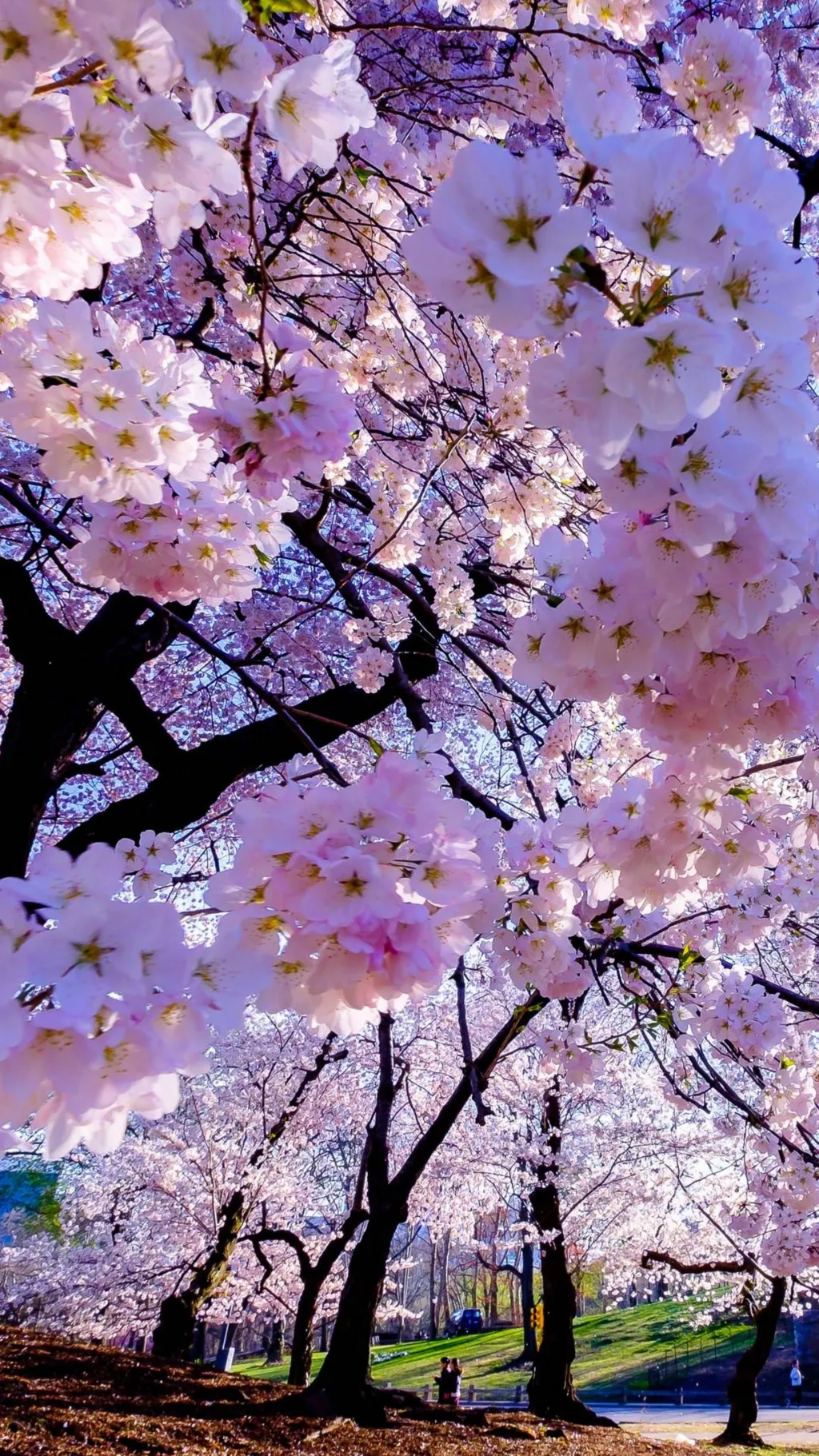 ai character: Katsuki Bakugo background