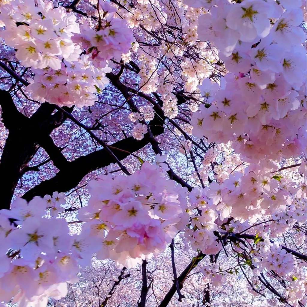 chat with ai character: Katsuki Bakugo